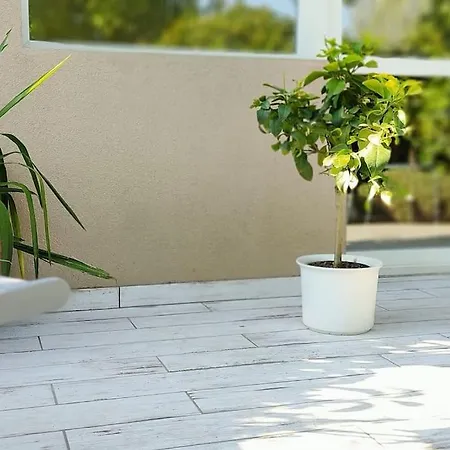 Flora House 3 Minutes From Balaton Casa vacanze
